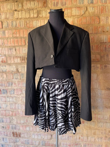 Zebra Print Mini Skirt (34)